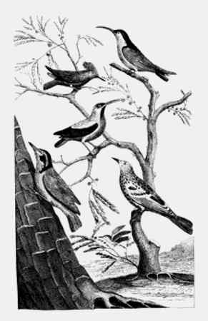 Иллюстрация к книге — Энциклопедия абсолютного и относительного знания [i_044.jpg]