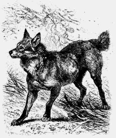 Иллюстрация к книге — Энциклопедия абсолютного и относительного знания [i_047.jpg]