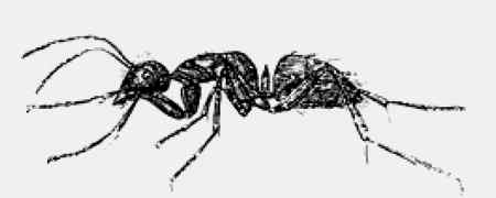 Иллюстрация к книге — Энциклопедия абсолютного и относительного знания [i_070.jpg]