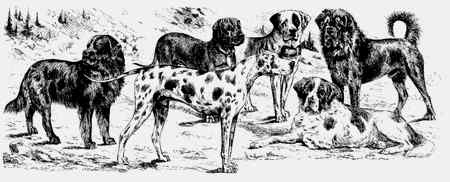 Иллюстрация к книге — Энциклопедия абсолютного и относительного знания [i_116.jpg]