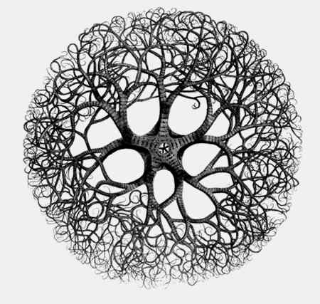 Иллюстрация к книге — Энциклопедия абсолютного и относительного знания [i_132.jpg]