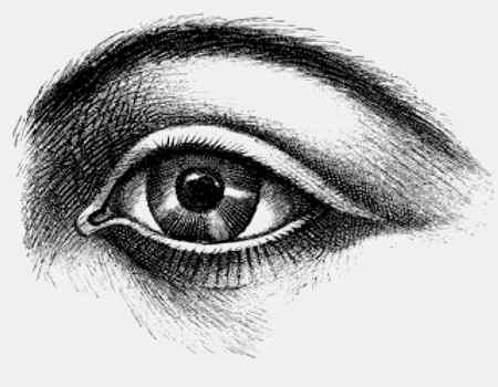 Иллюстрация к книге — Энциклопедия абсолютного и относительного знания [i_140.jpg]