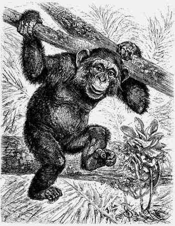 Иллюстрация к книге — Энциклопедия абсолютного и относительного знания [i_171.jpg]