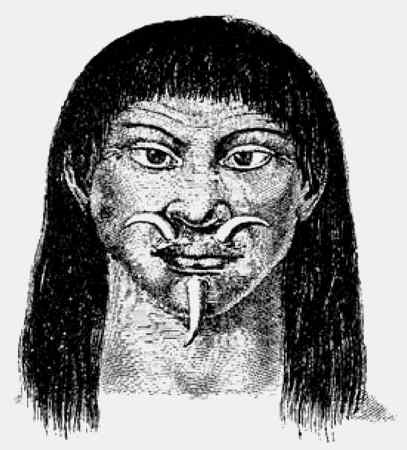 Иллюстрация к книге — Энциклопедия абсолютного и относительного знания [i_183.jpg]