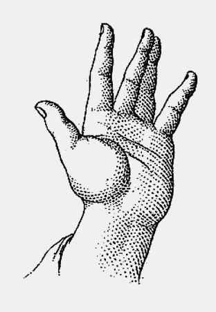 Иллюстрация к книге — Энциклопедия абсолютного и относительного знания [i_208.jpg]