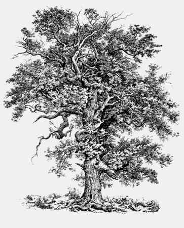 Иллюстрация к книге — Энциклопедия абсолютного и относительного знания [i_230.jpg]