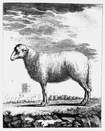 Иллюстрация к книге — Энциклопедия абсолютного и относительного знания [i_233.jpg]