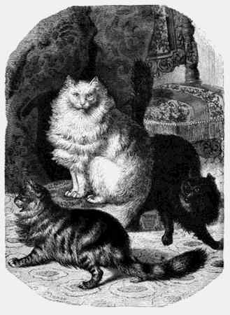 Иллюстрация к книге — Энциклопедия абсолютного и относительного знания [i_234.jpg]