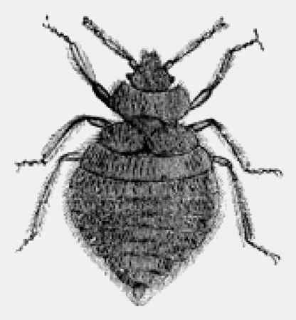 Иллюстрация к книге — Энциклопедия абсолютного и относительного знания [i_244.jpg]