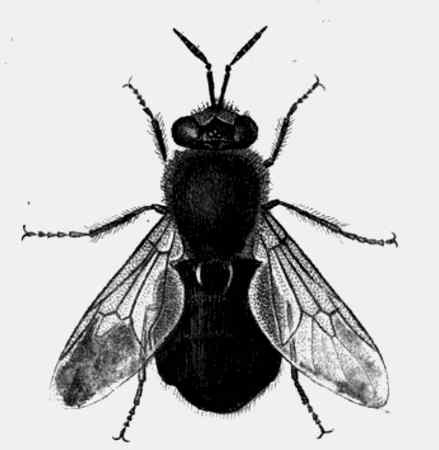 Иллюстрация к книге — Энциклопедия абсолютного и относительного знания [i_249.jpg]