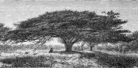 Иллюстрация к книге — Энциклопедия абсолютного и относительного знания [i_254.jpg]