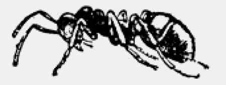 Иллюстрация к книге — Энциклопедия абсолютного и относительного знания [i_270.jpg]