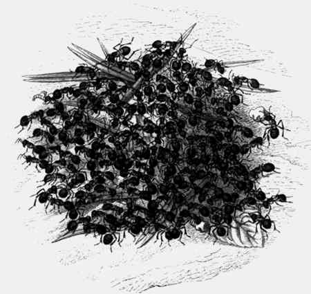 Иллюстрация к книге — Энциклопедия абсолютного и относительного знания [i_275.jpg]