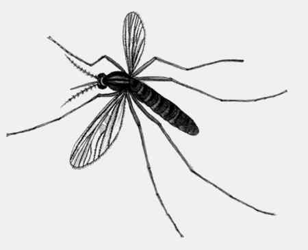 Иллюстрация к книге — Энциклопедия абсолютного и относительного знания [i_279.jpg]