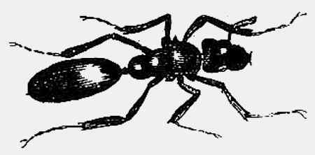 Иллюстрация к книге — Энциклопедия абсолютного и относительного знания [i_284.jpg]