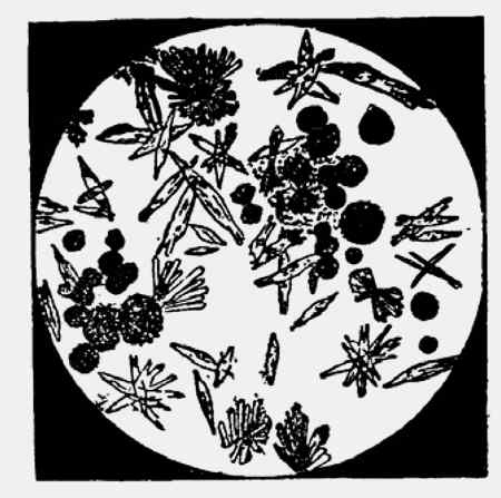 Иллюстрация к книге — Энциклопедия абсолютного и относительного знания [i_298.jpg]