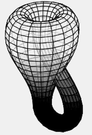 Иллюстрация к книге — Энциклопедия абсолютного и относительного знания [i_301.jpg]