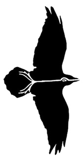 Иллюстрация к книге — Половина солнца [i_001.jpg]