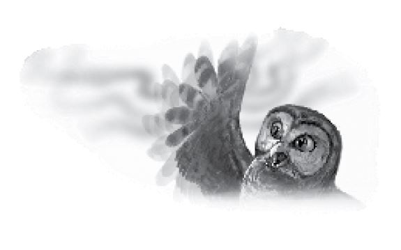 Иллюстрация к книге — Тлеющий камень [i_016.jpg]