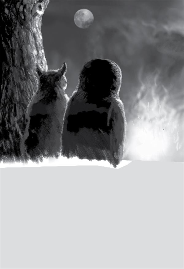 Иллюстрация к книге — Тлеющий камень [i_026.jpg]