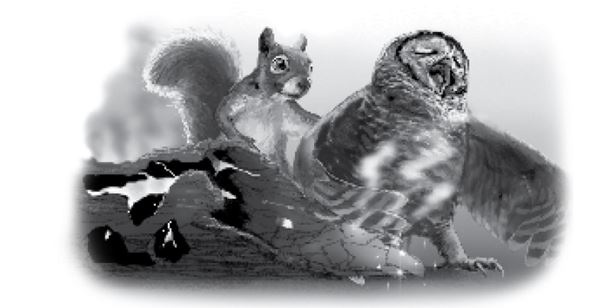 Иллюстрация к книге — Тлеющий камень [i_028.jpg]