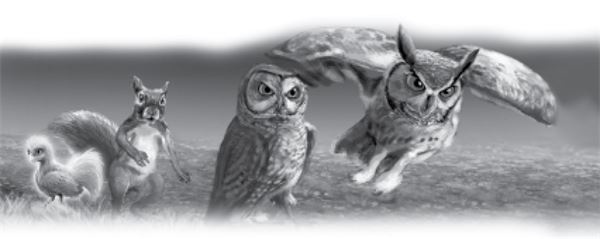 Иллюстрация к книге — Тлеющий камень [i_037.jpg]