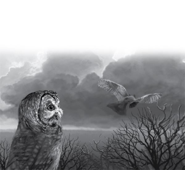 Иллюстрация к книге — Тлеющий камень [i_038.jpg]