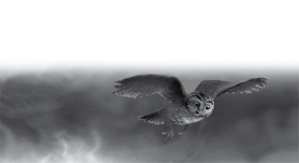 Иллюстрация к книге — Тлеющий камень [i_087.jpg]