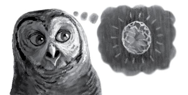 Иллюстрация к книге — Тлеющий камень [i_092.jpg]