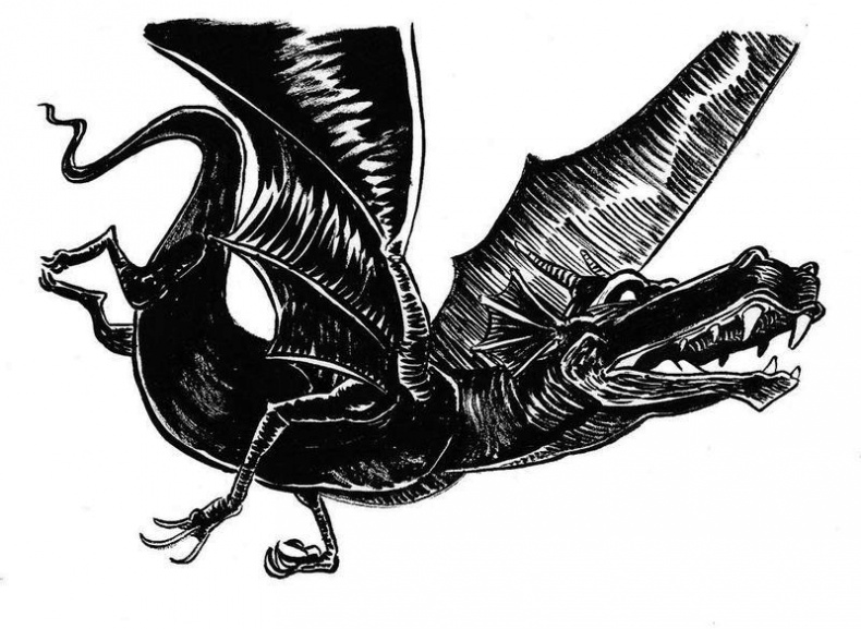 Иллюстрация к книге — Мрачные сказки братьев Гримм [i_009.jpg]