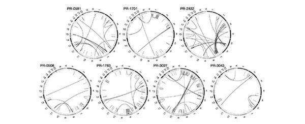 Иллюстрация к книге — Эпоха дополненной реальности [i_060.jpg]