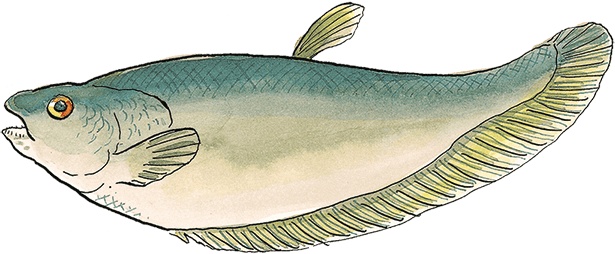 Иллюстрация к книге — Свинья для пиратов [i_008.jpg]