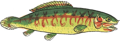 Иллюстрация к книге — Свинья для пиратов [i_012.jpg]