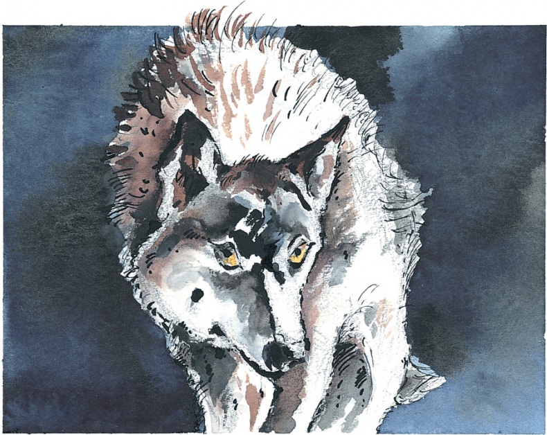 Иллюстрация к книге — Маленький оборотень [i_003.jpg]