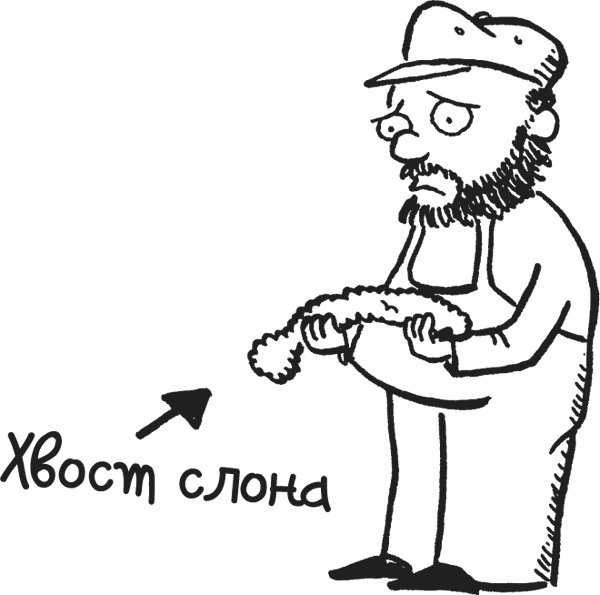 Иллюстрация к книге — Дневник «Эпик Фейл». Куда это годится?! [_139.jpg]