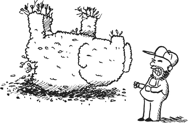 Иллюстрация к книге — Дневник «Эпик Фейл». Куда это годится?! [_2732.jpg]