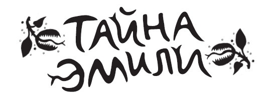 Иллюстрация к книге — Тайна Эмили [i_001.jpg]