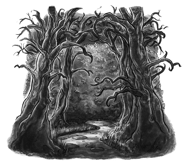 Иллюстрация к книге — История о магии [i_014.jpg]