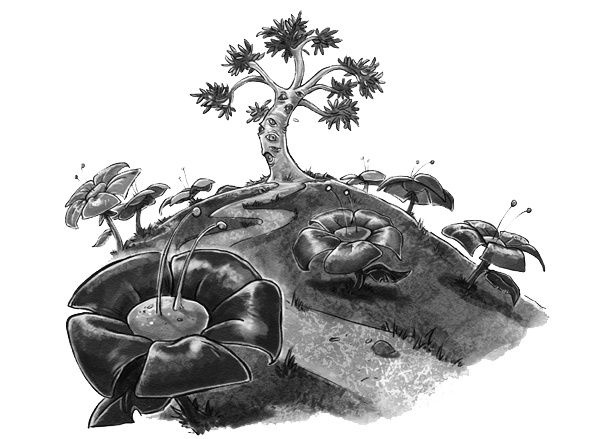 Иллюстрация к книге — История о магии [i_024.jpg]