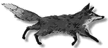 Иллюстрация к книге — Лунный медальон [i_005.jpg]