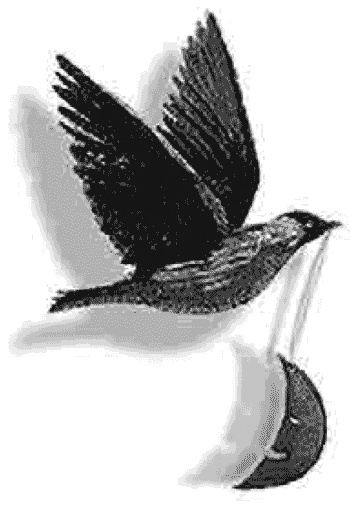 Иллюстрация к книге — Лунный медальон [i_009.jpg]