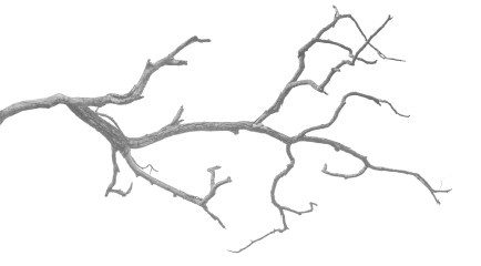 Иллюстрация к книге — Тот, кто стоит за спиной [i_004.jpg]