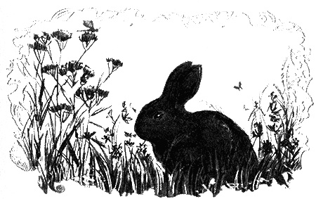 Иллюстрация к книге — Отборная гадина, или Вы нужны нам, Лилли [i_001.jpg]