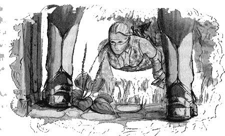 Иллюстрация к книге — Отборная гадина, или Вы нужны нам, Лилли [i_002.jpg]