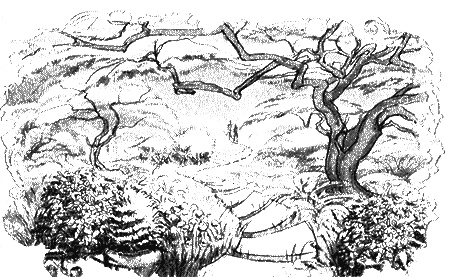 Иллюстрация к книге — Отборная гадина, или Вы нужны нам, Лилли [i_003.jpg]