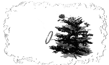 Иллюстрация к книге — Отборная гадина, или Вы нужны нам, Лилли [i_113.jpg]