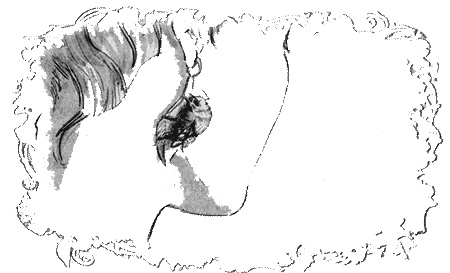 Иллюстрация к книге — Отборная гадина, или Вы нужны нам, Лилли [i_116.jpg]