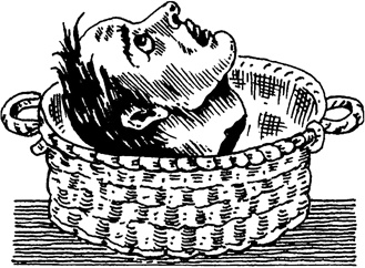 Иллюстрация к книге — Правители Франции XVII-XVIII века [i_014.jpg]