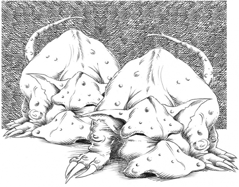 Иллюстрация к книге — Царство Ночи [i_041.jpg]