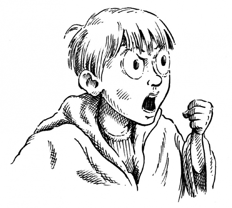 Иллюстрация к книге — Царство Ночи [i_087.jpg]